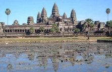 専用車・専用ガイド手配