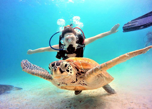 レダン島イメージ3